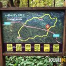 남조로사려니숲길 앞 이미지