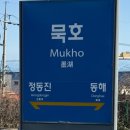 오뚜기슈퍼삼거리 | 냅다 혼자 튀어버린 묵호 여행