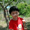 승영농장 Daum카페