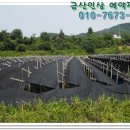 금산 활력의집 이미지