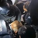 대원유리 이미지