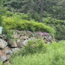 길정해농장 이미지