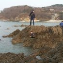 농어바위캠핑장 이미지