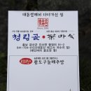 청림골차마실