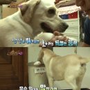 호야2농장 이미지