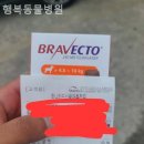 곤지암행복동물병원