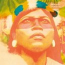 산청1태양광발전소 이미지