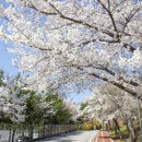 고덕생활축구장 이미지