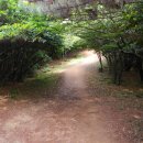 몰운대꼼장어 이미지