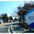 을숙도 생태공원 이미지