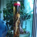 소프트모텔 이미지