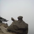뉴선혜