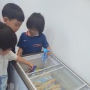 천하효태권도장 이미지