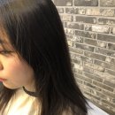 살롱드 고우리
