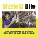 정성농장2 이미지