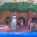 김범수수학학원 | 4-10월 정산