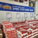 파리바게뜨논산시민 | [국내여행] 논산 딸기축제, 주말 이색데이트/ 지역축제 방문 후기
