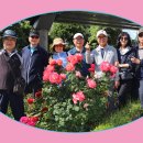 중랑화원 이미지