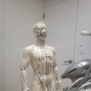 인성한의원 이미지