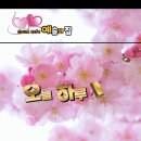 이승연 / イ・スンヨン：비에 젖은 비둘기 (멕시코민요) 이미지