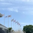 경희 탑이글 체육관 | 실리카겔 콘서트 Syn.THE.Size III 후기(펜스 잡은 후기) - 240517