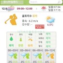 강화웰빙cc리조트 | 유니아일랜드CC 후기 아웃, 인코스 2025년 12월초 노캐디라운딩