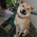 성천농장 이미지