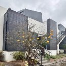 블루스프링리조트 이미지