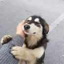 수영가든 이미지