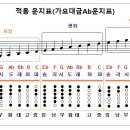 038-그중에그대를만나-가요대금F-MR 이미지