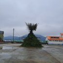 어촌삼식 이미지