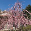 상순목장 이미지