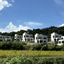 비클래시 B 이미지