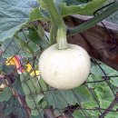 주교농장 이미지