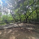 해맞이동산 이미지