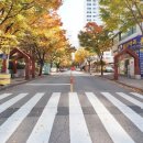 원앙공인중개사사무소 네이버블로그
