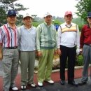 육사골프장에서 머리 올리다 이미지