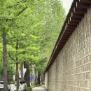 효자수한의원 | 2025 대선 전에 방문해본 청와대 무료개방 관람 후기 / 예약방법, 주차꿀팁(카카오T), 입장시간