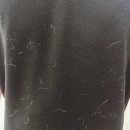 열두달펫 이미지