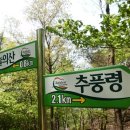 멍팔자 상팔자 이미지