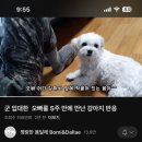 내가 더 행복해지길 바래