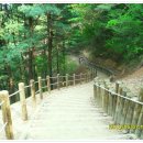 구곡폭포 주차장 이미지