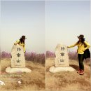 봉수보건지소 | [밀양 가볼만한곳]밀양 종남산 등산코스: 진달래 군락지 초보산행 추천