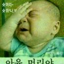 하루 이미지