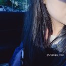 쵸이스셀테라피