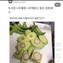 13-17주 임신중기 진입! 행복을 찾아 휴직하다😎