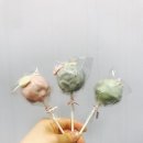 로키 스위밍 클럽 | //대전/둔산동/로키/키즈 쿠킹클래스//5월 12일 원 데이 클래스 ★☆스프링클 케이크팝 후기☆★