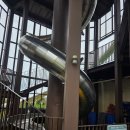 더불어사는우리 만나무료급식소 | 부산 근교 거제식물원 정글타워 정글돔 초등 아이와 다녀온 후기