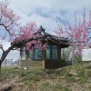 비봉보건진료소 | 의성 비봉산(자미산) 독점산 지장산 솔무산