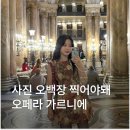 찾아가는 문화예술 ’발레야 놀자’ | 오페라 가르니에 입장권 예약 뮤지엄패스 파리